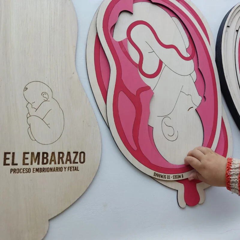 Puzzle El Embarazo – De la Fecundación a la Concepción - Image 3