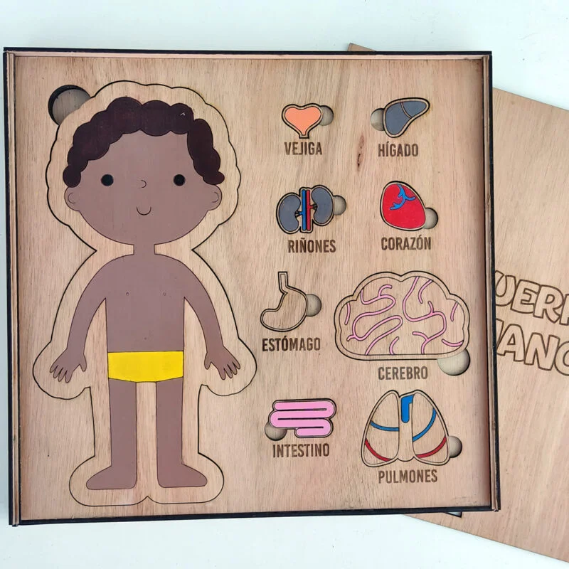 Cuerpo Humano - Descubre la anatomía jugando - Image 2