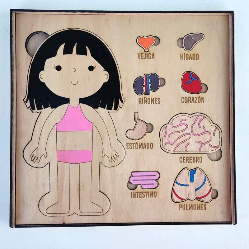 Cuerpo Humano - Descubre la anatomía jugando - Image 3