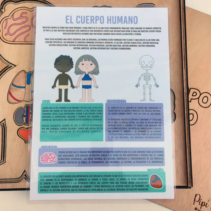 Cuerpo Humano - Descubre la anatomía jugando - Image 9