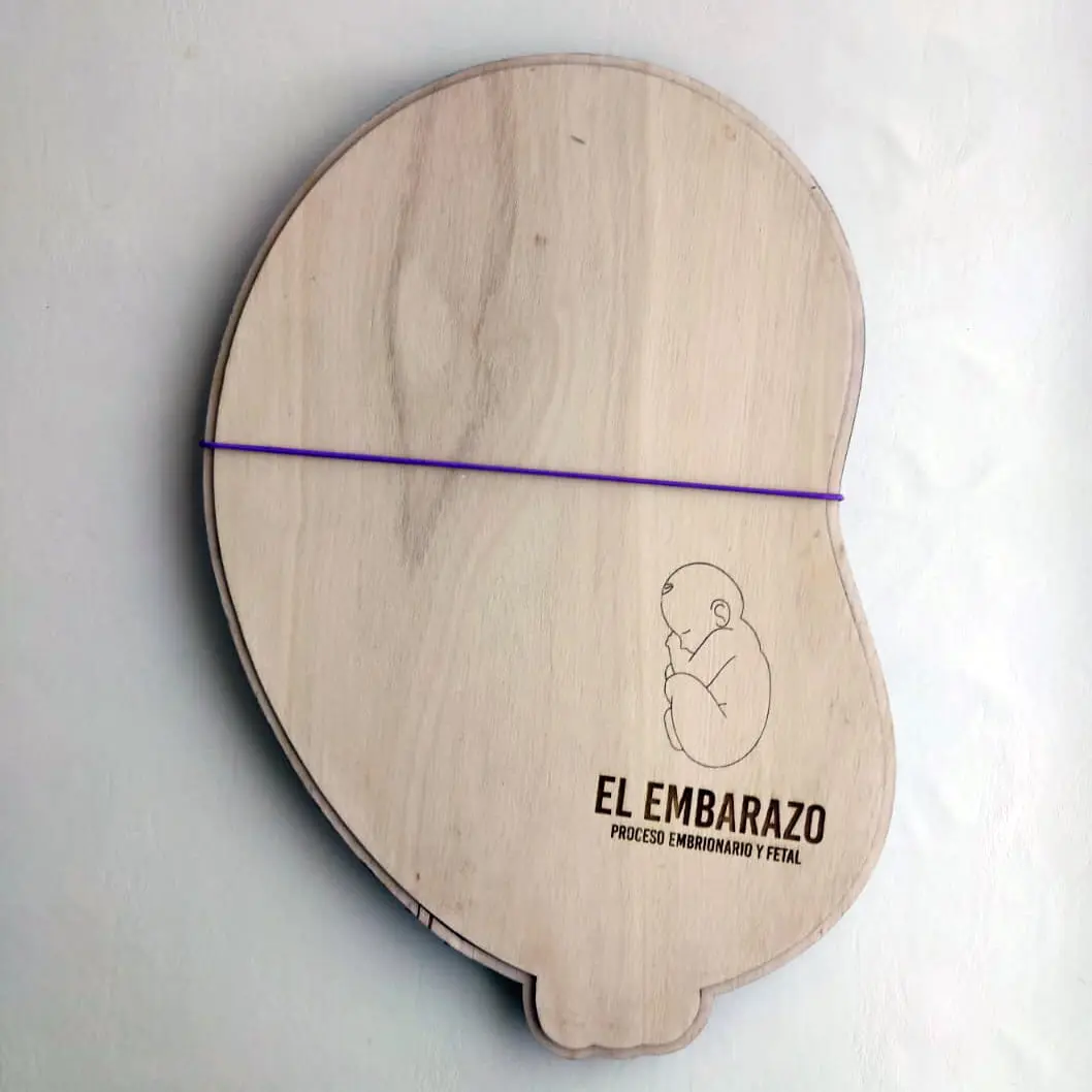 Puzzle El Embarazo | Aprender el Desarrollo de la Vida